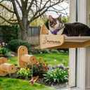 Cat Window Perch for Indoor Cats  2-in-1 Solid Wood Cat Hammock Window Seat & Wall Mount with 9 Suction Cups, Climbing Steps + Hanging Toy  Supports 40 lbs, Bird Watching & Sunbathing