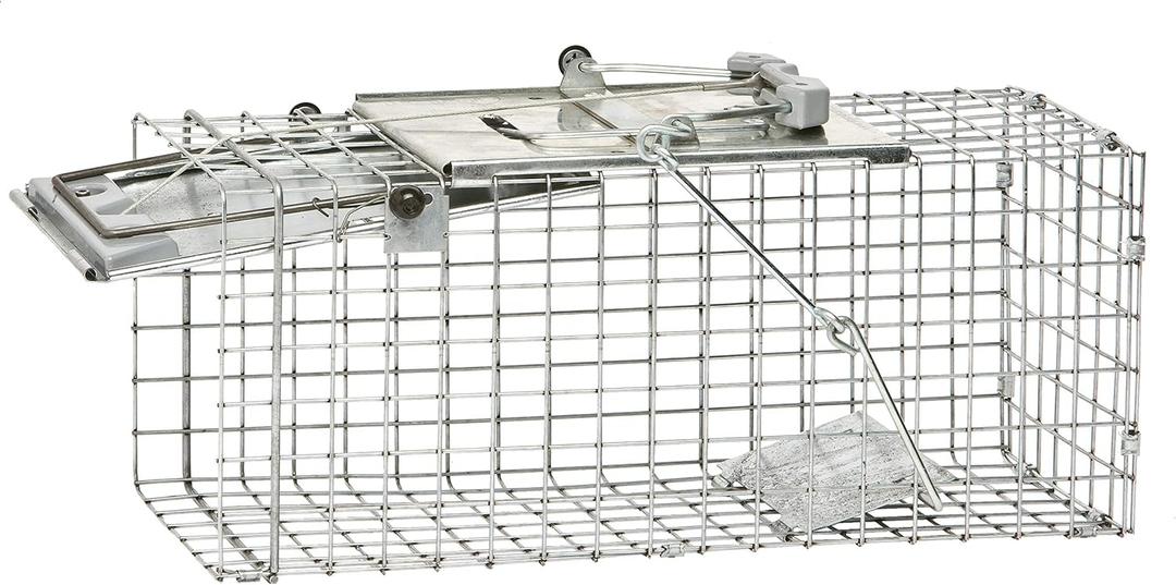 Havahart Easy-Set Catch and Release Small 1-Door Humane Live Animal Trap for Squirrels, Rabbits, Skunks, and Other Small Animals - 1083