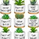Domensi 9 Pcs Funny Succulent Pots Cute Aloe Cactus Planter with Bamboo Tray Ceramic Accessories White Mini Flower Drainage Tray Pots Indoor Outdoor Plants Birthday Gifts Housewarming Women Coworker