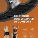 FAYOGOO Service Dog Vest for Small Breed - Lightweight Dog Harness with 6PCS Removable Patches - Puppy Harness and Leash Set for Walking,Training