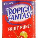 Tropical Fantasy Fruit Punch Juice Cocktail, Fruit Punch, 22.5 Fl Oz (EXP 08/19/26)