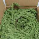 XmasExp Norfolk Pine Garland 9FT Real Touch Realistic Artificial Christmas Garland Decorations for Mantle Windows Indoor Outdoor