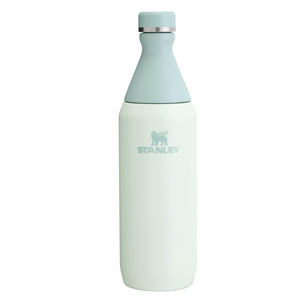 Stanley All Day Slim Bottle 20 oz | Twist On Lid with Leakproof Seal | Slim Design for Travel & Gym | Insulated Stainless Steel | BPA-Free |