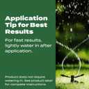Scotts Turf Builder Lawn Food - Fertilizer for Grass, for All Grass Types, 15,000 sq. ft., 37.50 lb.