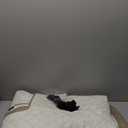 KinCam Waterproof Recliner Sofa Cover, Non-Slip Reclining Couch Covers for 3 Seat, Recliner Couch Cover Furniture Protector with Elastic Straps for Pets, Kids, Khaki