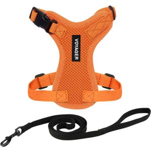 Voyager Step-in Lock Adjustable Cat Harness w. Cat Leash Combo Set with Neoprene Handle 5ft - Supports Small, Medium and Large Breed Cats by Best Pet Supplies - Orange, XS (XS (Chest: 13 - 16" * Fit Cats))