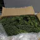 9 Ft Christmas Cedar Garland, Realistic Faux Pine Garlands, Green Artificial Greenery Garland for Winter Home, Mantle, Fireplace, Indoor, Outdoor Christmas Decorations (1 Pcs)