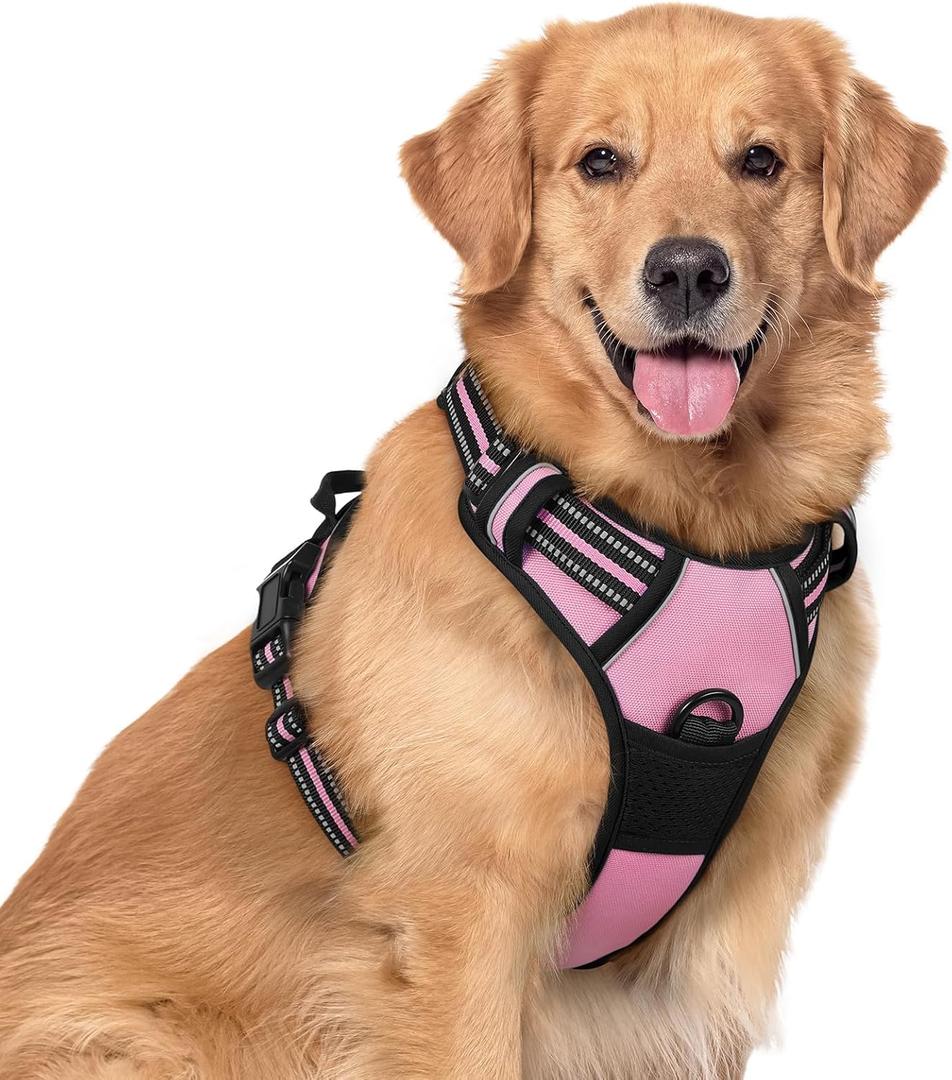 rabbitgoo Dog Harness No Pull with 2 Leash Clips, Adjustable Soft Padded, Reflective Oxford No Choke Pet Vest with Easy Control Handle for Dogs, Pink, XL