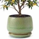 10.3 Inch Ceramic Planter with Saucer,Modern Garden Pots with Drainage Hole Mesh Net, for Indoor Outdoor Use (Crackle Green)