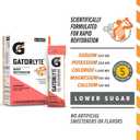 5 x Gatorlyte Powder Watermelon, 16.9oz (Pack of 6) (0.53 Ounce (Pack of 6))