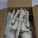 HBSTK 2 Pack 40 Inches 300 LED Light Up Halloween Skeleton Full Body Posable Movable Joints for Halloween Decoration Décor