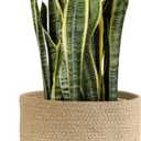 Dahey Jute Rope Plant Basket Modern Woven Storage Basket for 10.5" Indoor Planter, Decorative Flower Pots Cover Laundry Bin with Handle Rustic Home Decor, Black