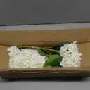 26" Artificial Hydrangea Flower with 6.6" Large Bloom, Realistic Gradient Silk Flowers, Faux Hydrangeas for Home Wedding Centerpiece Decor, Big Petal Fake Floral Arrangement, Indoor Outdoor Display (3PCS, White)