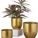 Briful Set of 3 Gold Galvanized Buckets Multi-Size Rustic Chic Metal Planters for Home Centerpieces Table Decorations, Farmhouse Garden Round Metal Pots for Flowers Plant Herb(4.7''/5.3''/6.5'')