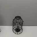 Hearts&Birds Squirrel Proof Bird Feeder Outdoors Hanging with Anti Collision Window Stickers for Birds - 360 Feeding Perch with Large Capacity for Wren Finches Chickadees Cardinal Wild Birds