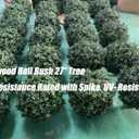 kyesyes Artificial Boxwood Ball Bush 27" Tree UV Resistance Rated with Spike. Easy to Push in The Ground.Plant Looks Great in a Planter Anywhere. Indoor/Outdoor Decor 2 Pack