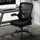 AreShark Office Chair Ergonomic Desk Chairs with Adjustable Lumbar Support, High Back Breathable Mesh Chair with Wheels& Flip-up Armrests,Rolling Swivel Comfy Task Computer Chair for Home Work Gaming