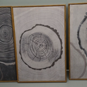 Ausril Tree Ring Framed Canvas Wall Art Set of 3, Modern Beige Wood Stump Wall Decor, Black and Gray Tree Spiral Wall Painting, Neutral Nature Art Print for Living Room, Bedroom, Office - 36"x24"