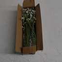 Babys Breath Artificial Flowers,12 Pcs Baby Breath Flowers Artificial Bulk, Real Touch Babys Breath Babies Breath Long Stems, Fake White Gypsophila For Bonquet Vase Wedding Decor Flower Arrangement