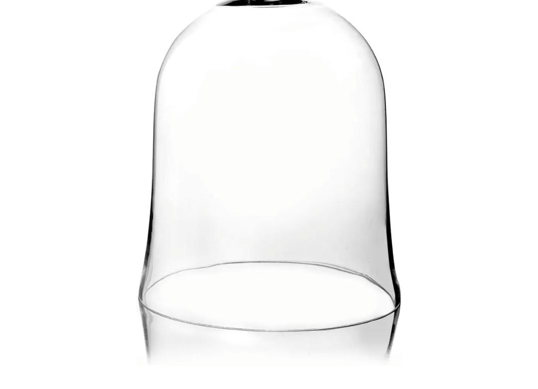 CYS EXCEL Glass Bell Dome Cloche (H:16" W:12") Enchanted Rose Glass Cover Cake Dessert Display Terrarium Jar Plant Cover