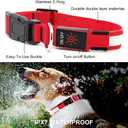 YFbrite Ultra Light Adjustable LED Dog Collar, Light up Dog Collars Rechargeable Glowing in The Dark Collars Visiblity & Safety for Small, Medium, Large Dogs (Red, Small)
