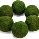 Farmoo Moss Balls Preserved All Natural, 3.5"-Set of 6 (Natural Green)