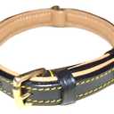 Luxury Real Leather Padded Dog Collar, Tan and Teal, Size Small, 16" Long x 5/8" Wide, Neck Size 11" to 13.5" Inches