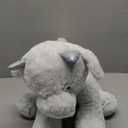 Apricot Lamb Toys Plush Green Plush Dragon Dinosaur Stuffed Animal Soft Cuddly Perfect for Child Medium, 12 Inches