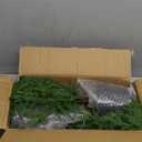 2FT Artificial Norfolk Pine Christmas Tree  Tabletop Faux Tree Unlit/Prelit with 50 LED Lights & 8-Function Battery Box, Pre-Assembled Holiday Decor for Home or Office (Prelit-2FT-2Pack)