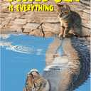 FLYAB Motivational Posters - 11.2x16.5'' Mindset is Everything Wall Art Decor for Classroom Home Office Positive Inspirational Picture Paper for Students Teen Men Women (Blue-Cat Lion)