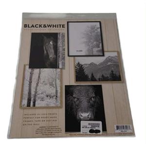 Black&White Photo Collage Wall Art (5) 11x14 Prints