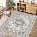 Washable Area Rug Boho Non Slip Large Rug for Entryway Indoor Mat Machine Rug Throw Rug for Living Room Bedside Rug for Bedroom Kitchen mat Rugs 4x6