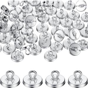 WILLBOND 80 Pieces Plant Anchors for Trellis Plant Vine Wall Fixture Clips Hooks Anchor Vine and Wall Climbing Supplies (Silver)