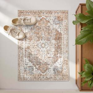jinchan Area Rug 2x3 Entryway Rug Washable Doormat Vintage Retro Indoor Distressed Door Mat Accent Floor Cover Lightweight Non Slip Low Pile Carpet for Bathroom Kitchen Living Room Bedroom Brick Red