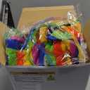 6 Piece Crazy Hour Party Supplies: Fun & Bold Decorations