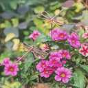 3-Piece Pink Metal Dragonfly Garden Stakes - Iron Wire Outdoor Decor for Patio Lawn Decoration