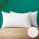 MIULEE Pack of 2 12x20 Inch Outdoor Pillow Inserts Waterproof Decorative Throw Pillow Insert, Rectangle Lumbar Garden Pillow Form for Patio Sofa Couch