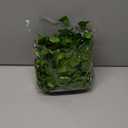 DomeStar Vines with Light for Bedroom, 300 LED Fairy Lights with Vines, Curtain String Lights with Remote for Dorm, Wedding, Party, Valentines Wall Ambient Decor