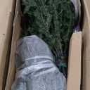 Puleo International 9' Royal Majestic Fir Artificial Christmas Tree with 800 Lights, Green