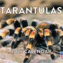 Tarantula Calendar 2025 Monthly Wall Calender | American Made In The USA