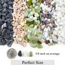 10LB Black Pea Gravel for Landscaping, 3/8 Inch Black Pebbles for Plants Cactus Succulent Fish Tank and Garden Black Stones
