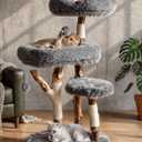 Solid Wood Cat Tree, Boho Modern Cat Tree Tower with Real Branch