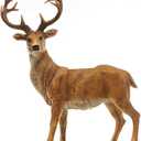 Resin 19.68Inch Height Standing Deer Statue Animals Sculpture Garden Art Decor Yard Ornament Lawn Garden Outdoor Patio Decoration Figurine