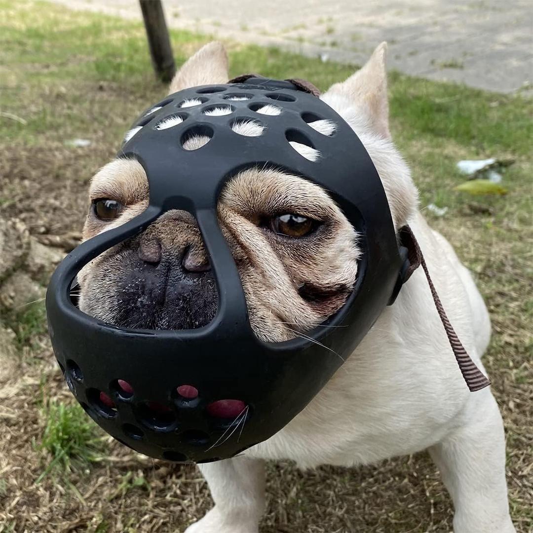 BARKLESS Short Snout Dog Muzzle, Soft Silicone Flat Faced Muzzle for French Bulldog Shih Tzu and Pug for Biting Chewing Licking and Grooming, Allows Panting, Medium（Head 15-16½"）