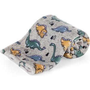 Berkshire Velvetloft Baby Blanket Warm Fleece Nursery Throw, Toddler Blanket for Crib, Stroller, and Travel, Ideal Newborn Baby Gift, Dino Walk Grey Multi, 30 in x 40 in