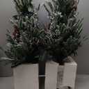 Pack of 2 Small 3FT Pre-Lit Snow Flocked Christmas Tree with Twinkling Lights for Home Office Christmas Decor- Battery Operated & Timer (Snowflake Base)