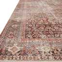 Loloi Layla Collection LAY-11 Cinnamon/Sage 2'-3" x 3'-9" .13" Thick Accent Rug, Soft, Durable, Vintage Inspired, Distressed, Low Pile, Non-Shedding, Easy Clean, Printed, Living Room Rug