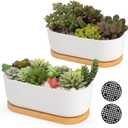 White Ceramic Succulent Plant Pots, Indoor and Outdoor Succulent Planters, Set of 2 Small Cactus Containers, Bonsai Pots, Flower Pots with Drainage Hole and Bamboo Bowl (No Plant)