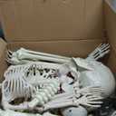 5.4ft &3ft Halloween Life Size Human Skeleton,Halloween Full Body Posable Human Skeleton Bones Decorations with Movable Joints for Indoor Outdoor Props Decorations