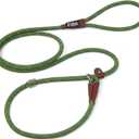 Fida Durable Slip Lead Dog Leash, 6 FT x 3/8" Heavy Duty Dog Loop Leash, Comfortable Strong Rope Slip Leash for Small Dogs and Puppies, No Pull Pet Training Leash with Highly Reflective(3/8", Green)